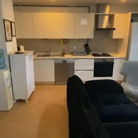 Hip *
